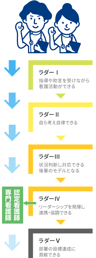 クリニカルラダーの段階画像